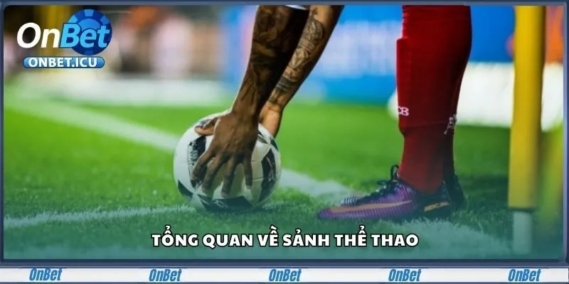 Tổng quan về sảnh thể thao