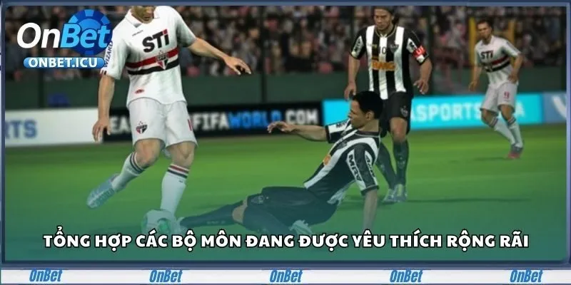 Tổng hợp các bộ môn đang được yêu thích rộng rãi